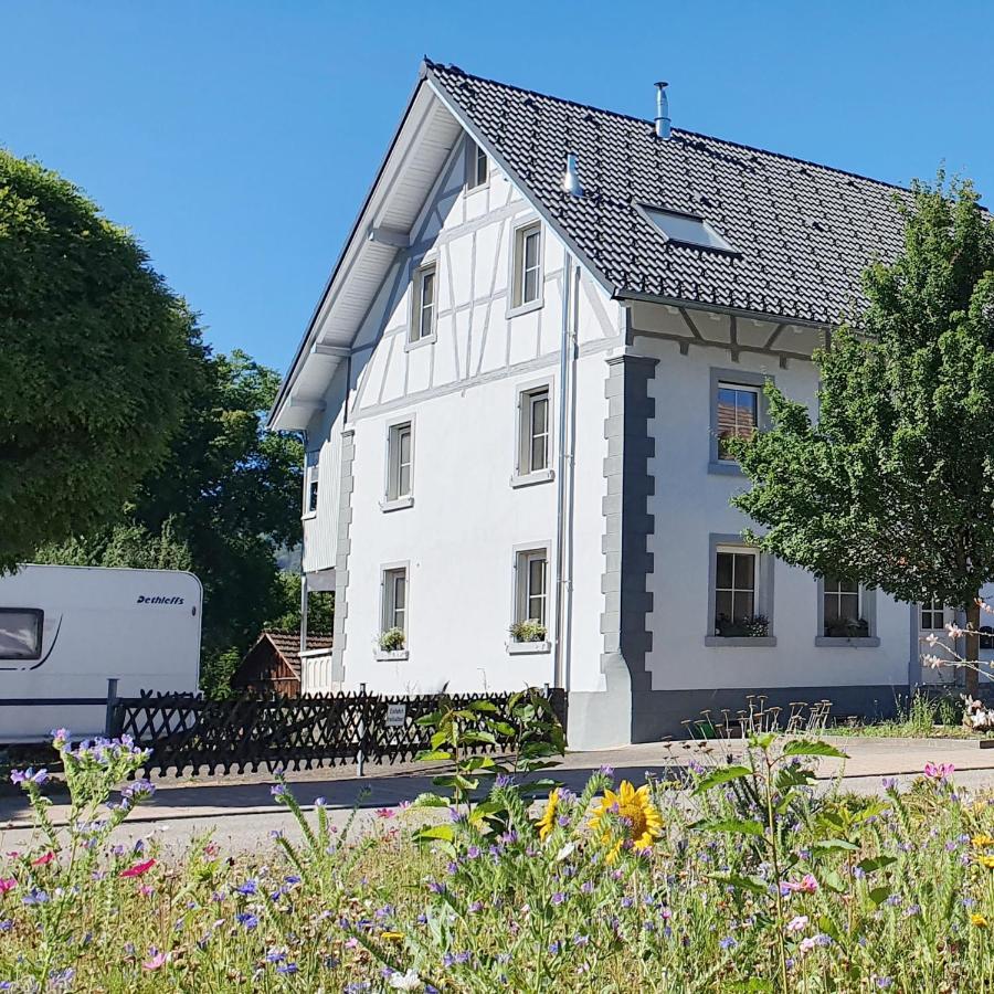Apartment Suedwind - Beautiful Premium Apartment With 2 Bedrooms Near Rhine Falls & Zurich Airport In Klettgau Weisweil  Exteriör bild